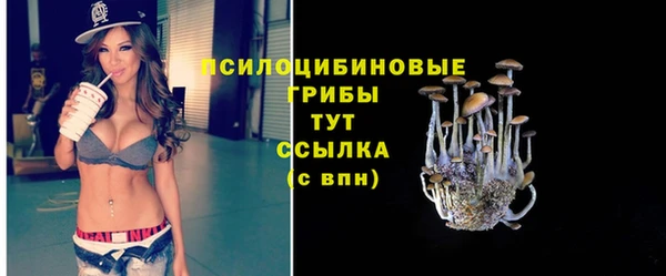 прущая мука Козловка