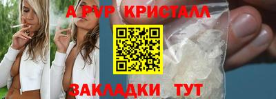 стафф Заводоуковск
