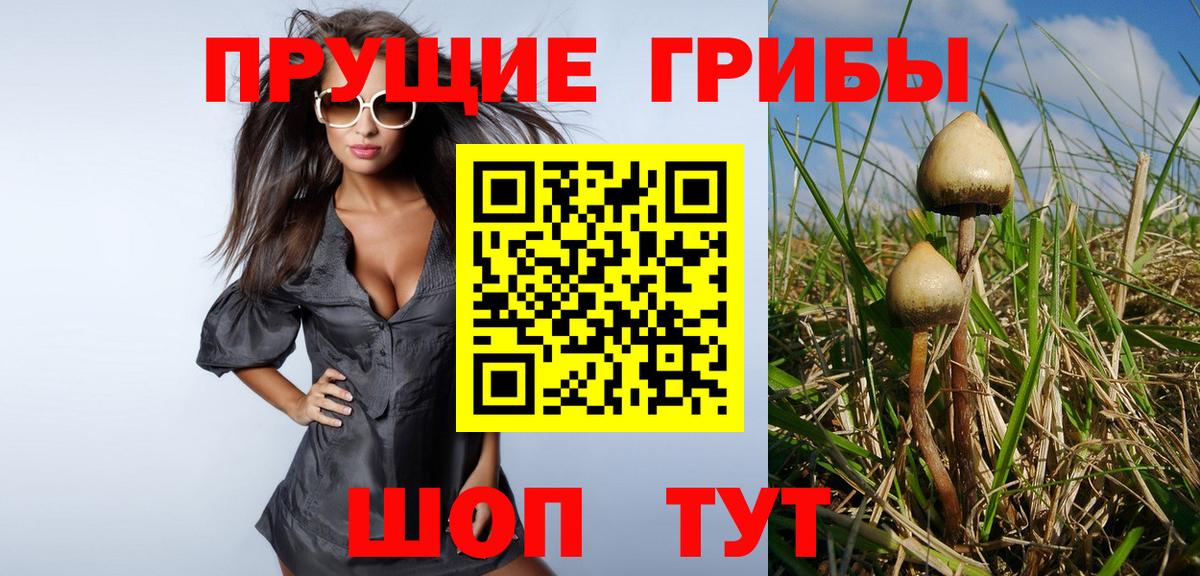Псилоцибиновые грибы прущие грибы  купить наркотик  Лабытнанги  Вход с VPN 